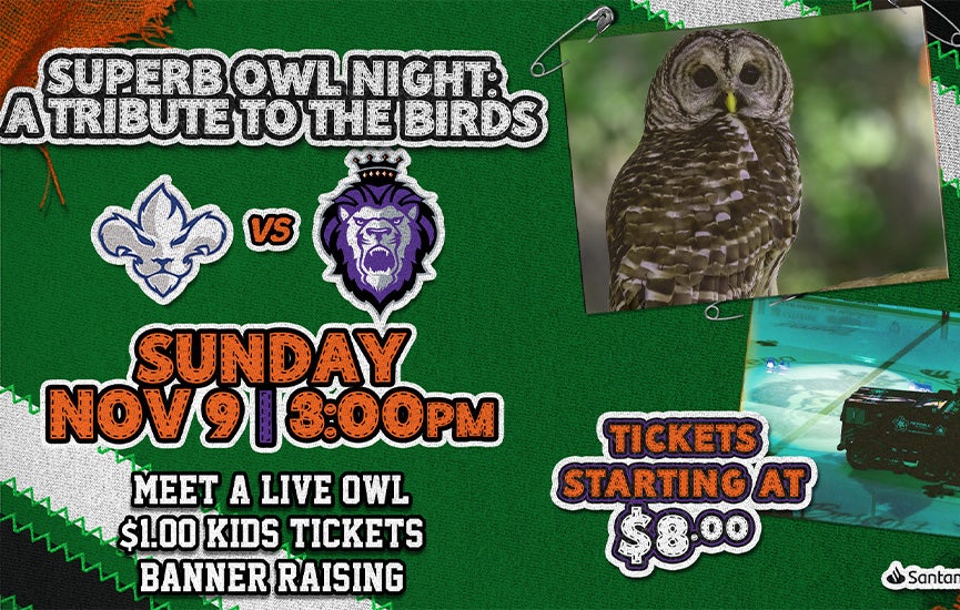 Reading Royals Home Game 