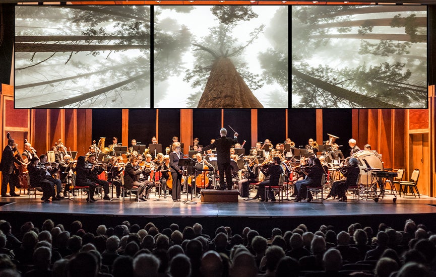 Reading Symphony Orchestra