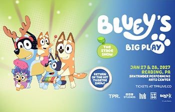 More Info for Bluey's Big Play