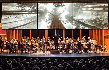 More Info for Reading Symphony Orchestra