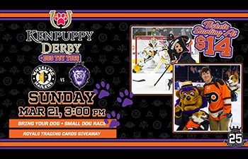 More Info for Reading Royals vs. Wheeling Nailers